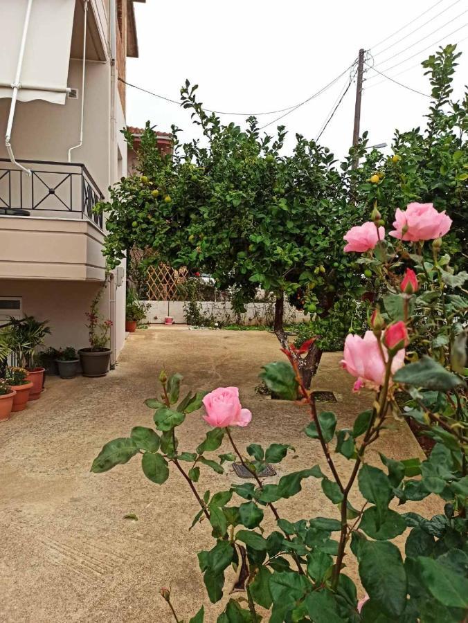 Agathi's House *