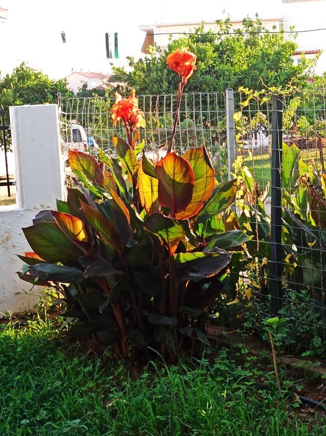 Agathi's House