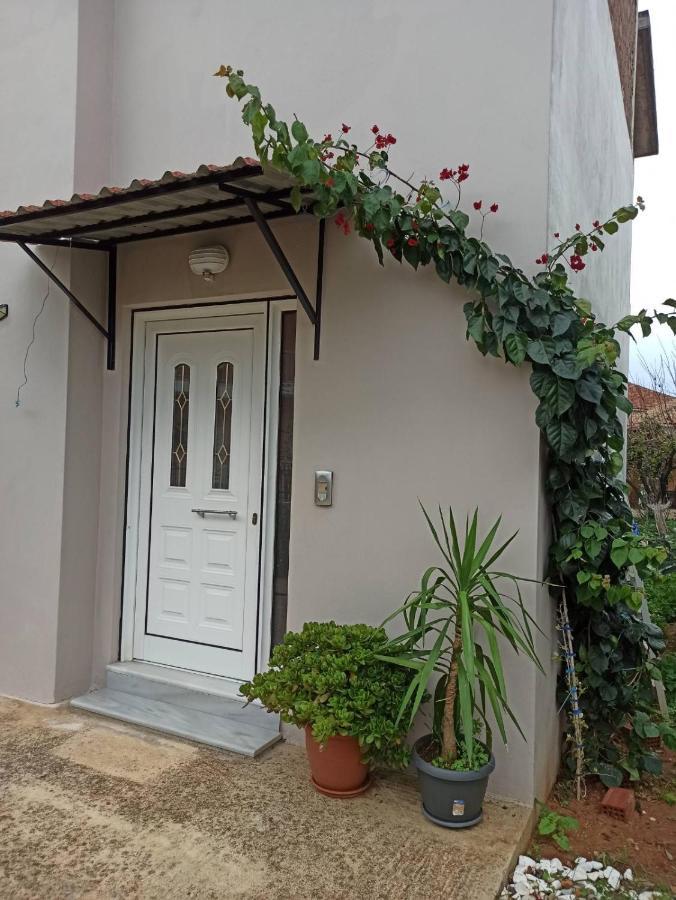 Apartment Agathi's House Mytikas (Epirus)
