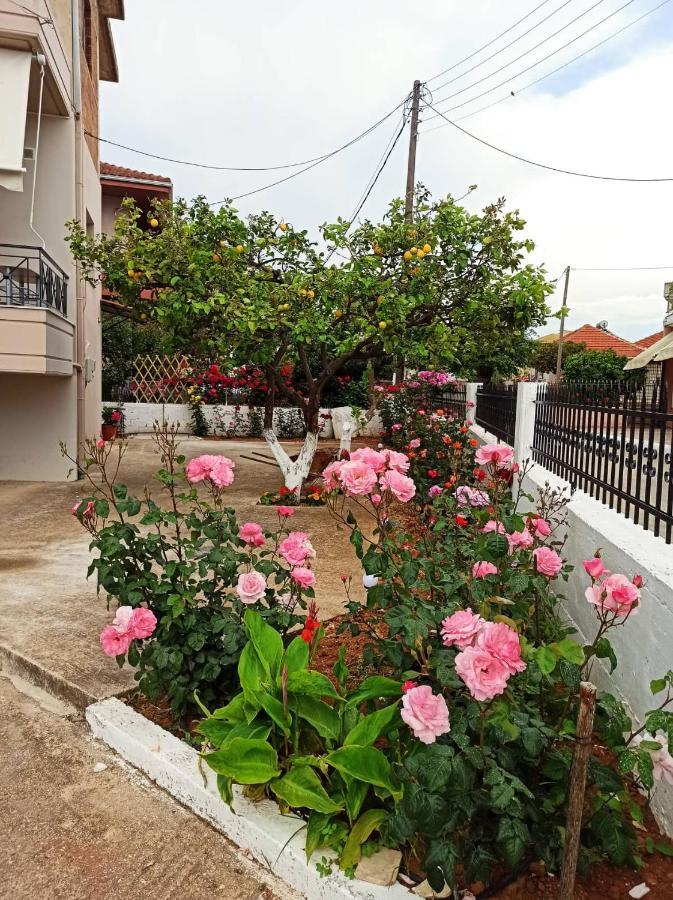 Apartment Agathi's House *